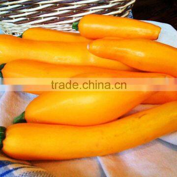 Imported Squash Yellow Seeds