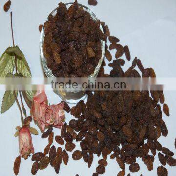 Health Xinjiang dry seedless sultanas raisin