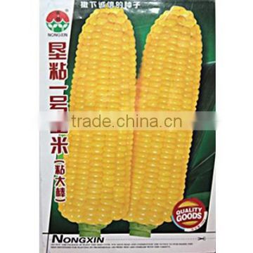 2015 Hybrid Yellow Sweet Waxy Corn Seeds For Growing-Ken Glutinous No.1