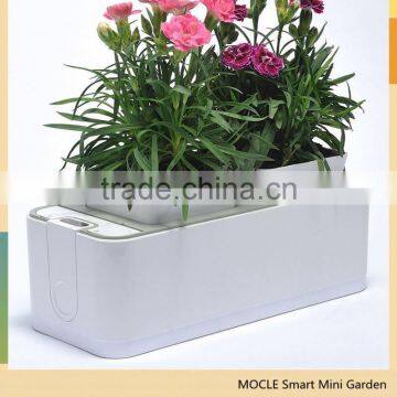 Smart Mini Garden wanted marketing agents in StLucia