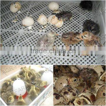 2014 Newest Poultry Incubator Temperature Humidity Controller With Sensors XM-18D photo-4