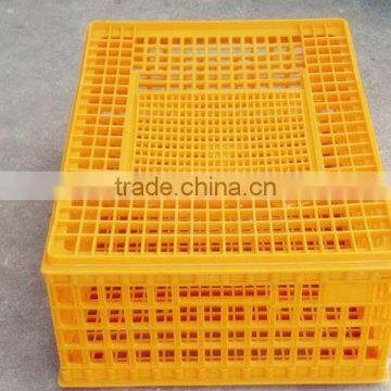 This is Your Want Best Chicken Transport Box . Loading 10 -14 Chickens photo-2