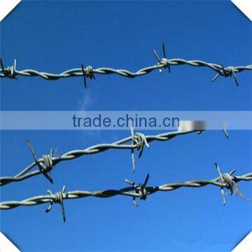 hot sale 14*14 galvanized barbed wire / bared wire for sale factroy / galvanized barbed wire manufacture