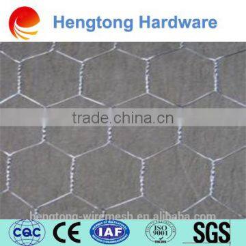 High quality Galvanized Hexagonal Wire mesh, chicken Mesh Dog netting/fish trap netting