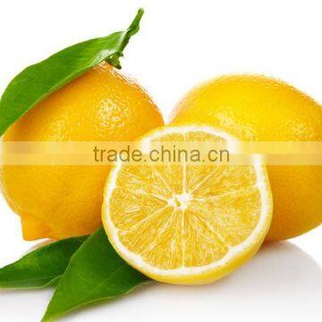 HST300 Rose Oil Solvent Extraction Equipment photo-6