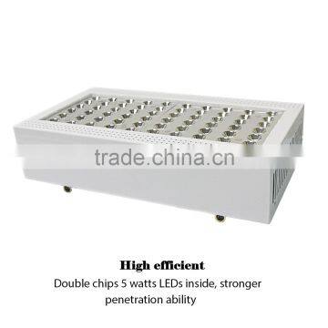 Ebay Best Selling 300w Full Spectrum Led Grow Light for Flowering and Fruiting