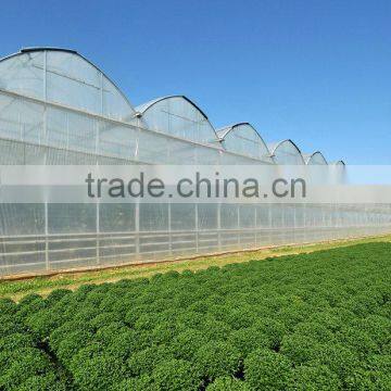 Commercial Greenhouse Galvanized Steel Tube Farm Commercial Greenhouse photo-2