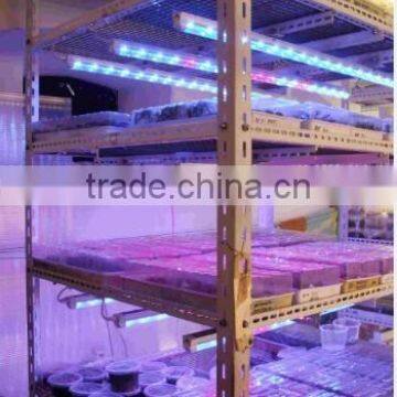 Buy Led Grow Light From China VANQ Led Grow Tube With Daisy-chain,30% Discount Price photo-6