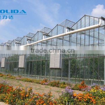 Manufacturer supply Larger Multi-span Glass Greenhouse