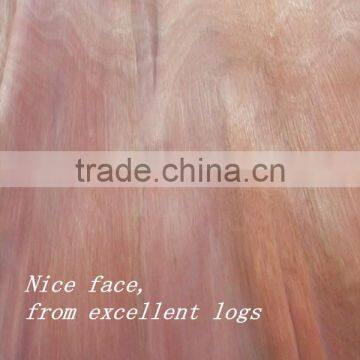 Linyi Rotary Cut Grade a b c no Discolor 0.3mm 4'x8' Okoume Face Veneer photo-6