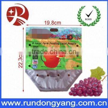 CPP Plastic Stand up Pouch Slider Zip Lock Protection Fruit Bag for Grape photo-2
