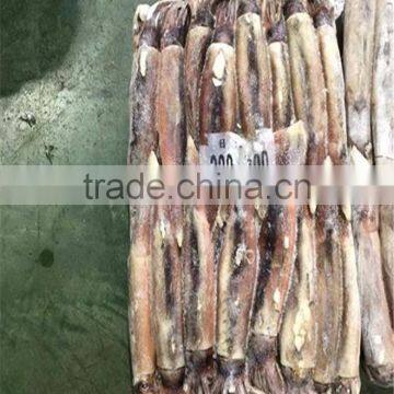 BQF Illex Argentina/argentinus Squid WR photo-2