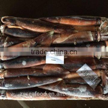 Frozen Whole Round Argentina Squid for BBQ photo-3