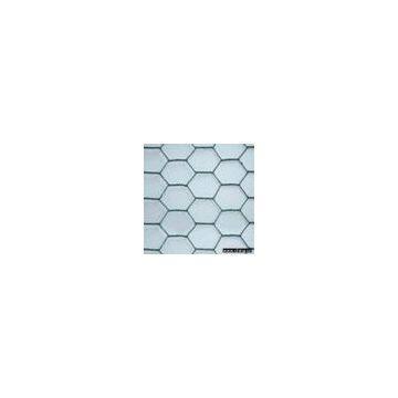 Hexagonal Wire Mesh