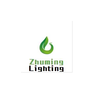 SHENZHEN ZHUMING LIGHTING TECHNOLOGY CO.,LTD