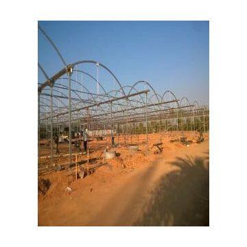 Multi-Span Greenhouse for Agricultural Greenhouse
