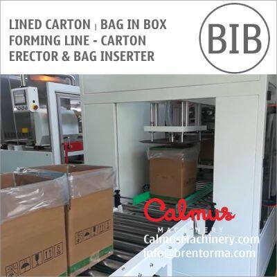 Lined Carton Bag in Box Forming Line - Carton Erector and Bag Inserter photo-5