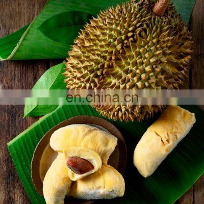 Thailand Fruit Premium Grade Frozen Whole Monthong King Durian