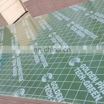 Full Birch Plywood 1220*2440*18mm Oman Lowest Price Plywood 18mm Green PP Plywood