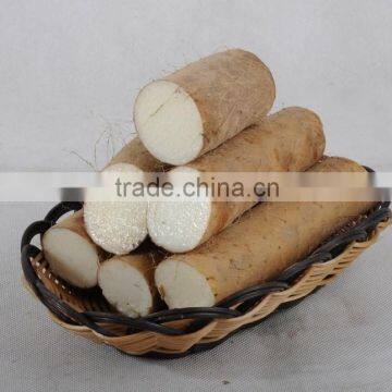 High Quality Plant Extract Wild Yam photo-3