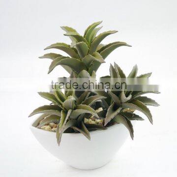 Environmental Artificial Aloe Bonsai For Decoration