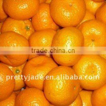 Chinese fresh baby mandarin