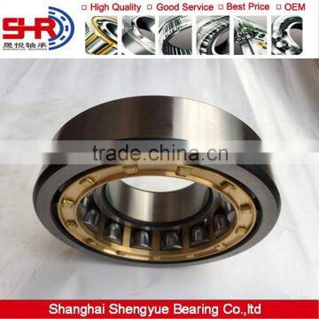 Cheap NJ305 Bearing, Cylindrical Roller Bearing for NJ305 with High Quality