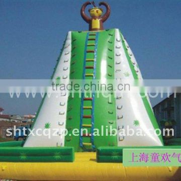 popular inflatable rock climbing