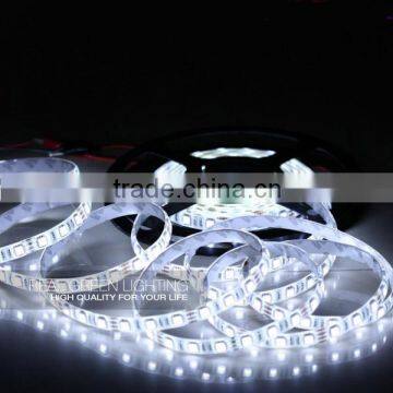 12V/24V 5M 300 LEDs Waterproof SMD 5050 Flexible Light Strip