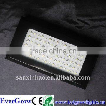 EG-90W-AG1-SXB fish tank light newly designed led aquarium