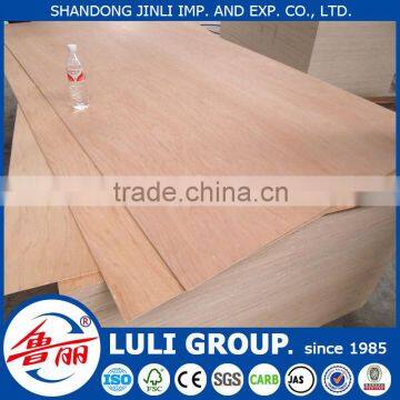 Hot Sale Door Skin Plywood photo-6