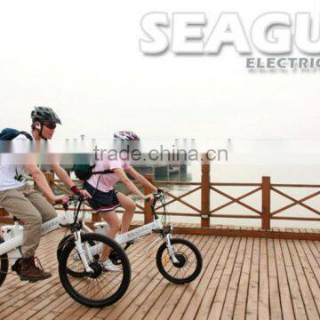 EN15194 Electric Bike-Seagull GL