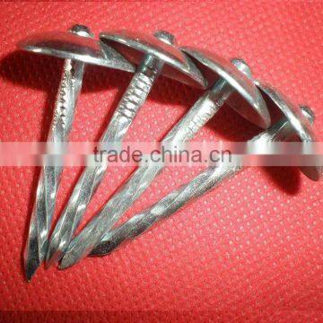 65mm Galvanized Roofing Nails With Umbrella Head photo-6