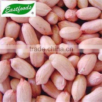 Red Skin Peanut Kernel photo-6
