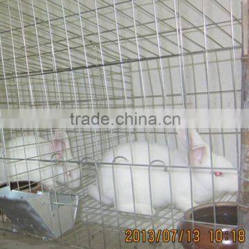 commercial rabbit cage animal cage galvanized wire low prices for sale