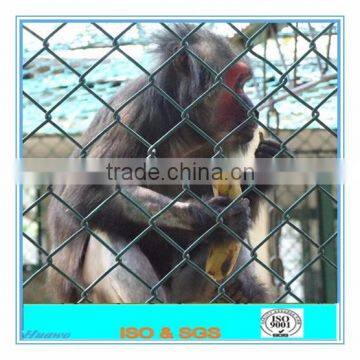 High Quality PVC Coated Chain Link Fence for Zoo Mesh