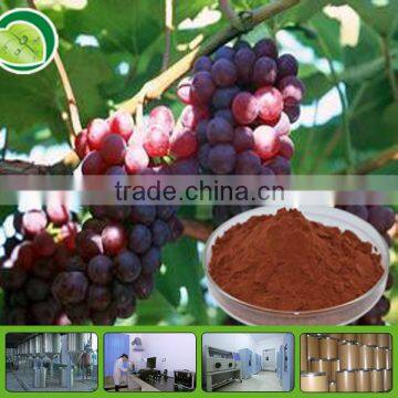 OPC grape seed extract powder 95%
