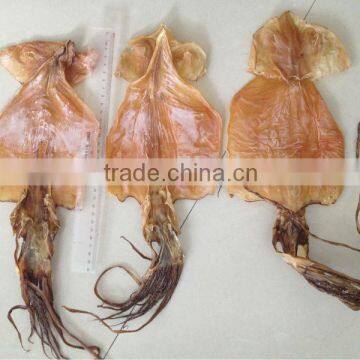 dried giant squid