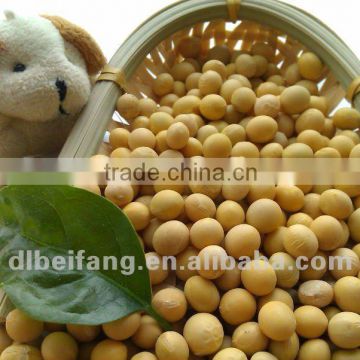 Soybean/soya bean, soybean seeds, soya bean seeds( 2011 crop, heilongjiang origin)