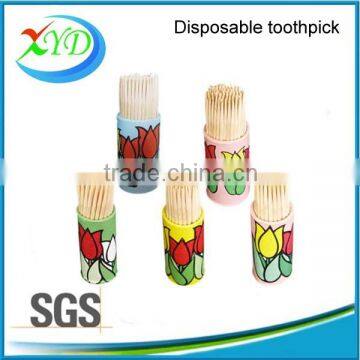 Different Wooden Toothpicks / Personalized Toothpicks photo-4