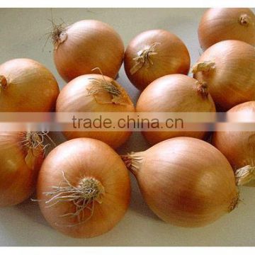 yellow onion