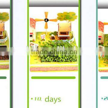 3D Jigsaw Puzzle Model Sweet Home With Planting Flowers photo-3