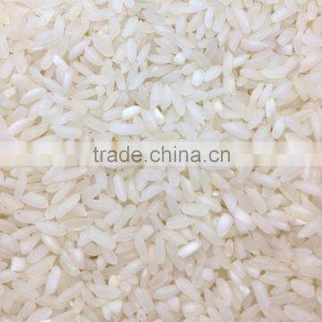 Short Grain White Rice Manufacturer