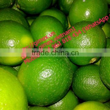 Fresh Lemon/ Lime With best price Viet Nam 2016