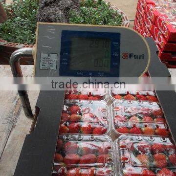 Egyptian Frozen Strawberry photo-4
