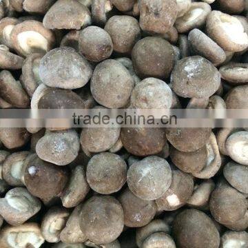 Price for Frozen Shiitake Mushroom Whole photo-2