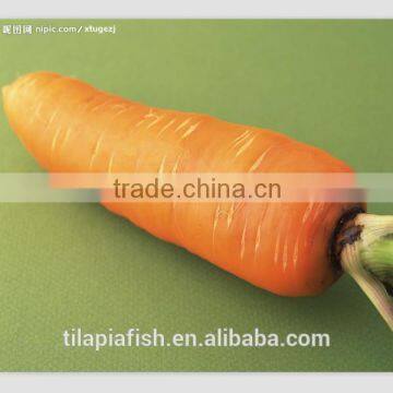 dried carrot, fresh carrot in China