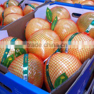 Fresh red pomelo