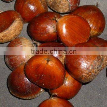 FORZEN PEELED CHESTNUTS 2013