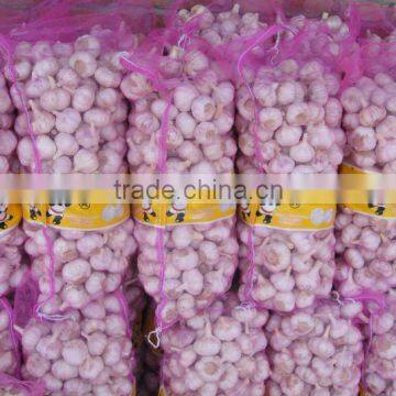 crop Chinese pure white garlic packed in carton